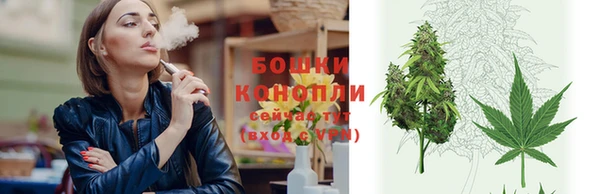 молекула духа Аркадак