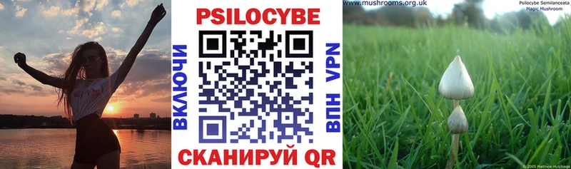 Галлюциногенные грибы Magic Shrooms Оха